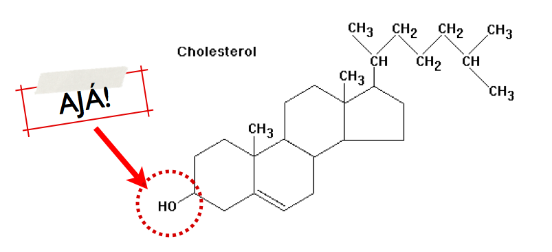 Alcoholesterol